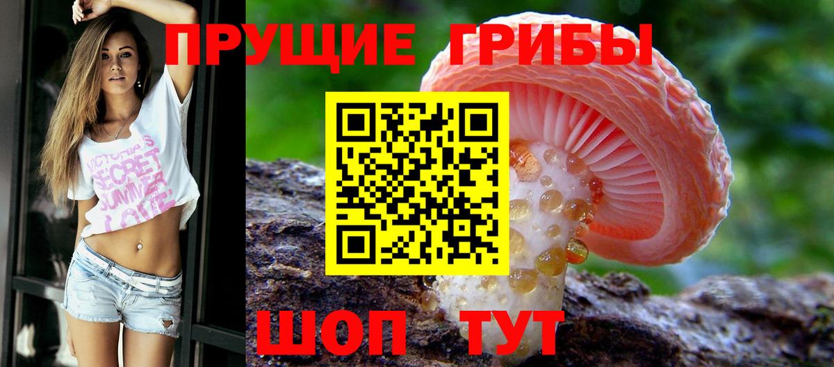 Лесозаводск  Псилоцибиновые грибы ЛСД  Вход с VPN 